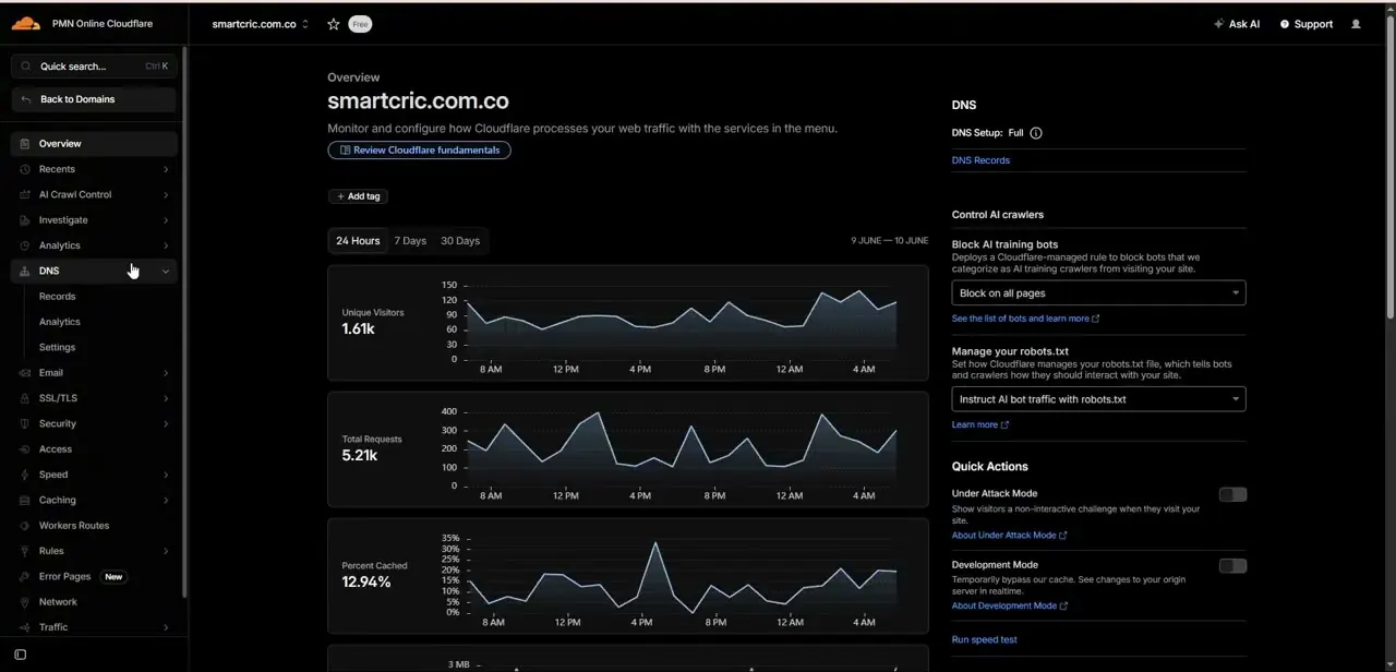 A domain's Overview page in Cloudflare, showing traffic stats and a DNS Setup status of Full before opening DNS Settings.