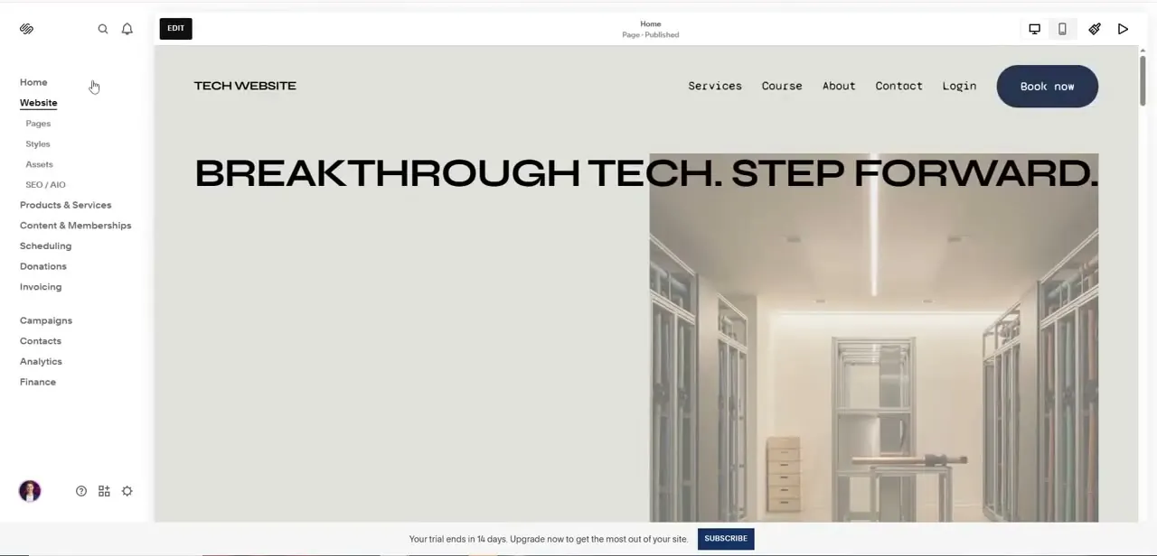 The Website editor open on the Home page, with Pages, Styles, Assets, and SEO/AIO listed under Website in the left sidebar, and the live page preview on the right.
