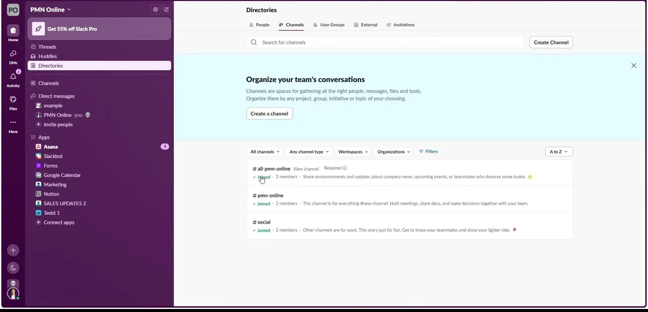 The Directories panel's Channels tab — the real browsable list, showing member counts, descriptions, and Joined status per channel.