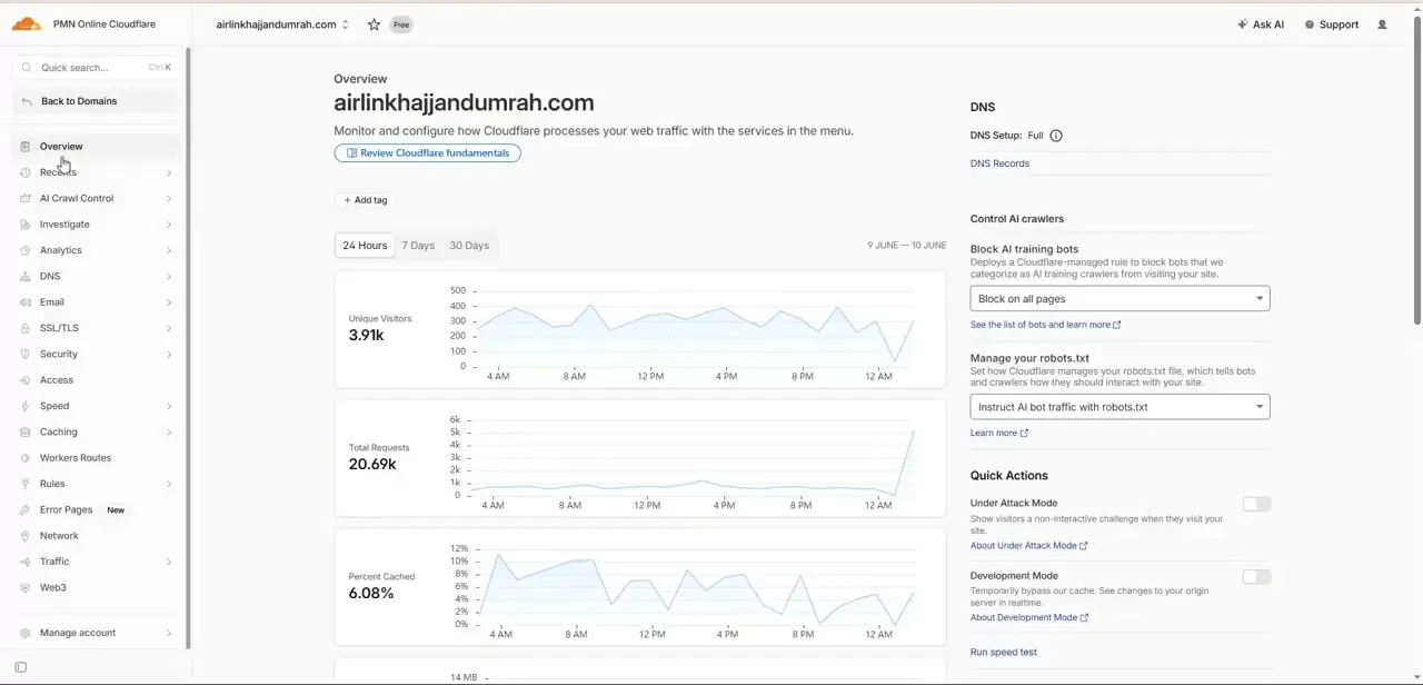 A domain's Overview page in Cloudflare, showing traffic analytics and the DNS Setup status before opening the DNS section.
